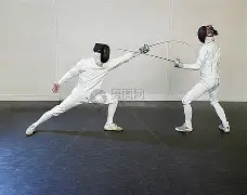 九游网页版-击剑夜战：河套灰熊队逆转关东貔貅队，主帅临场妙招观赏性拉满